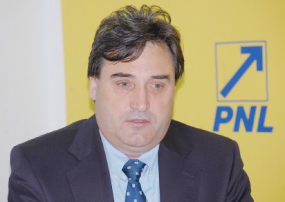 Mihai Lupu, declaraţie politică pe tema Roşia Montană